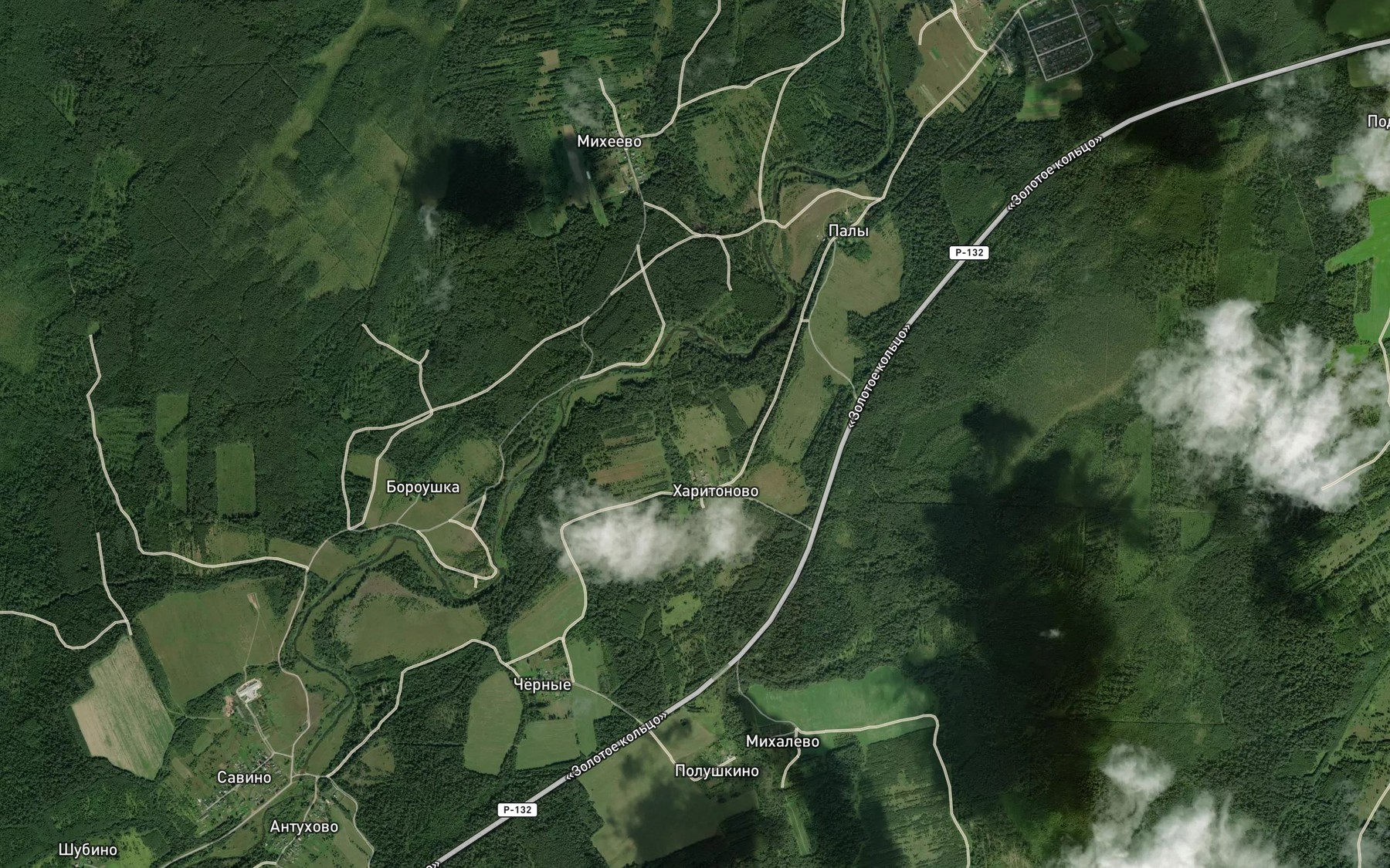 Satellite map of the Vetrusha