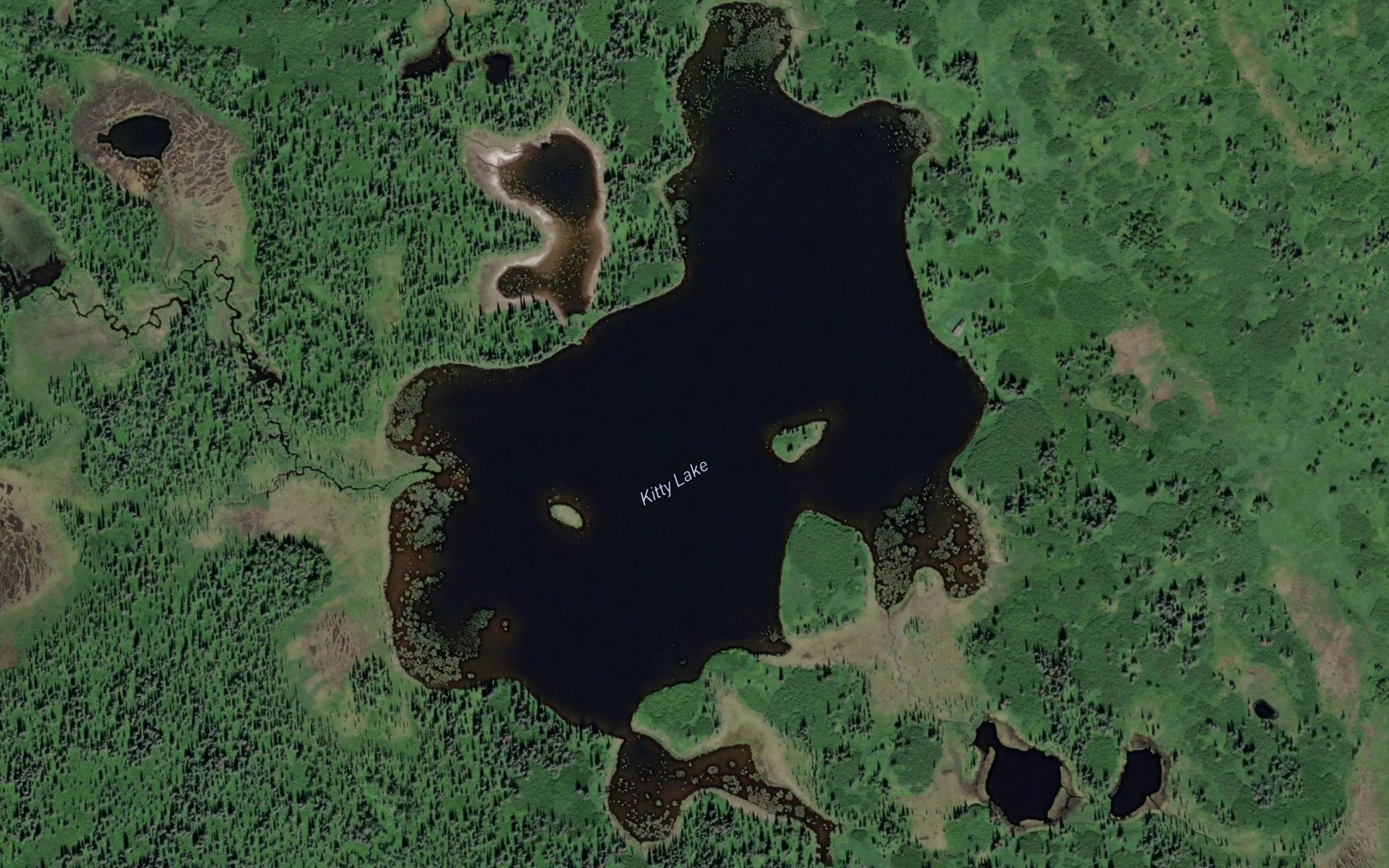 Kitty Lake