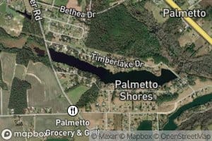 Palmetto Shores Lake