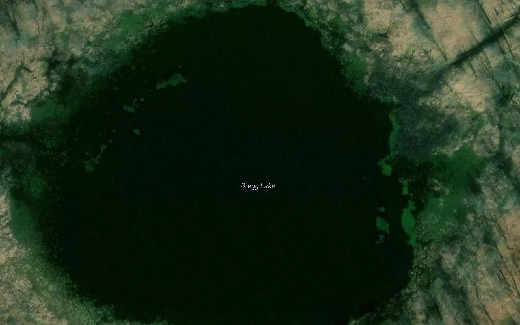 Satellite map of the Gregg Lake