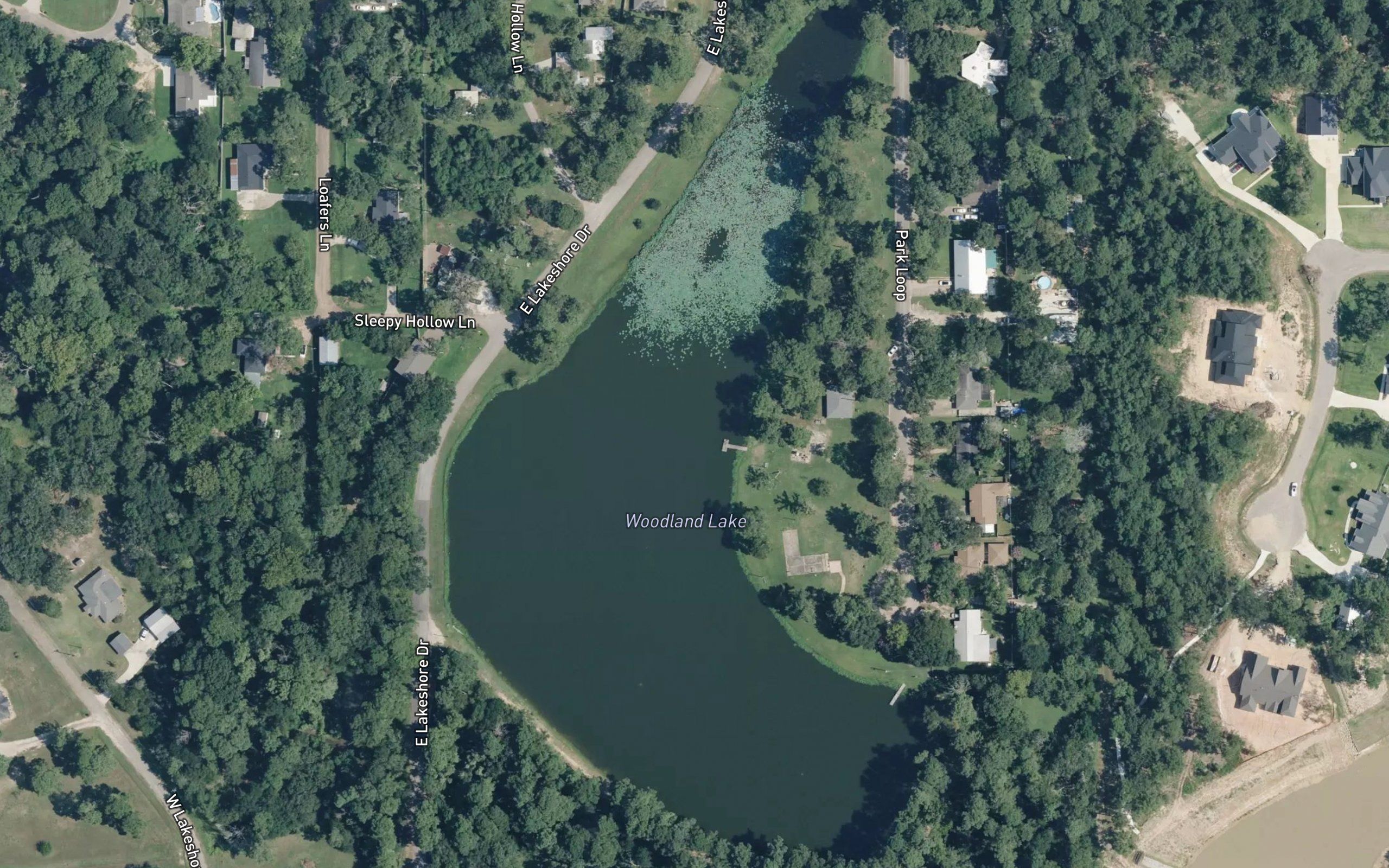 Woodland Lake