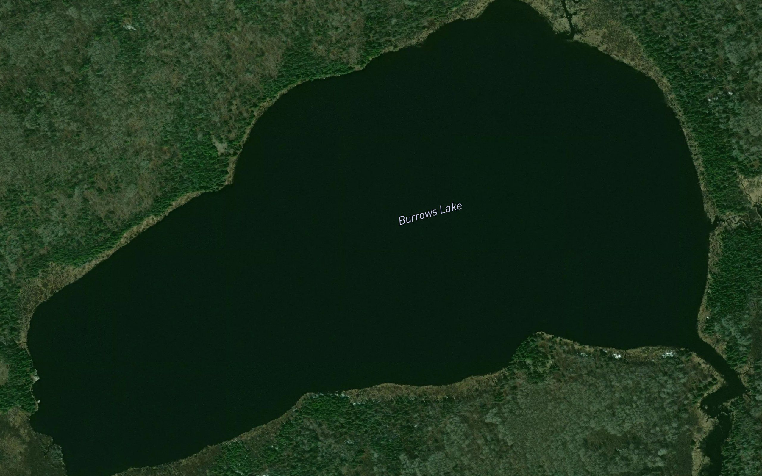 Burrows Lake