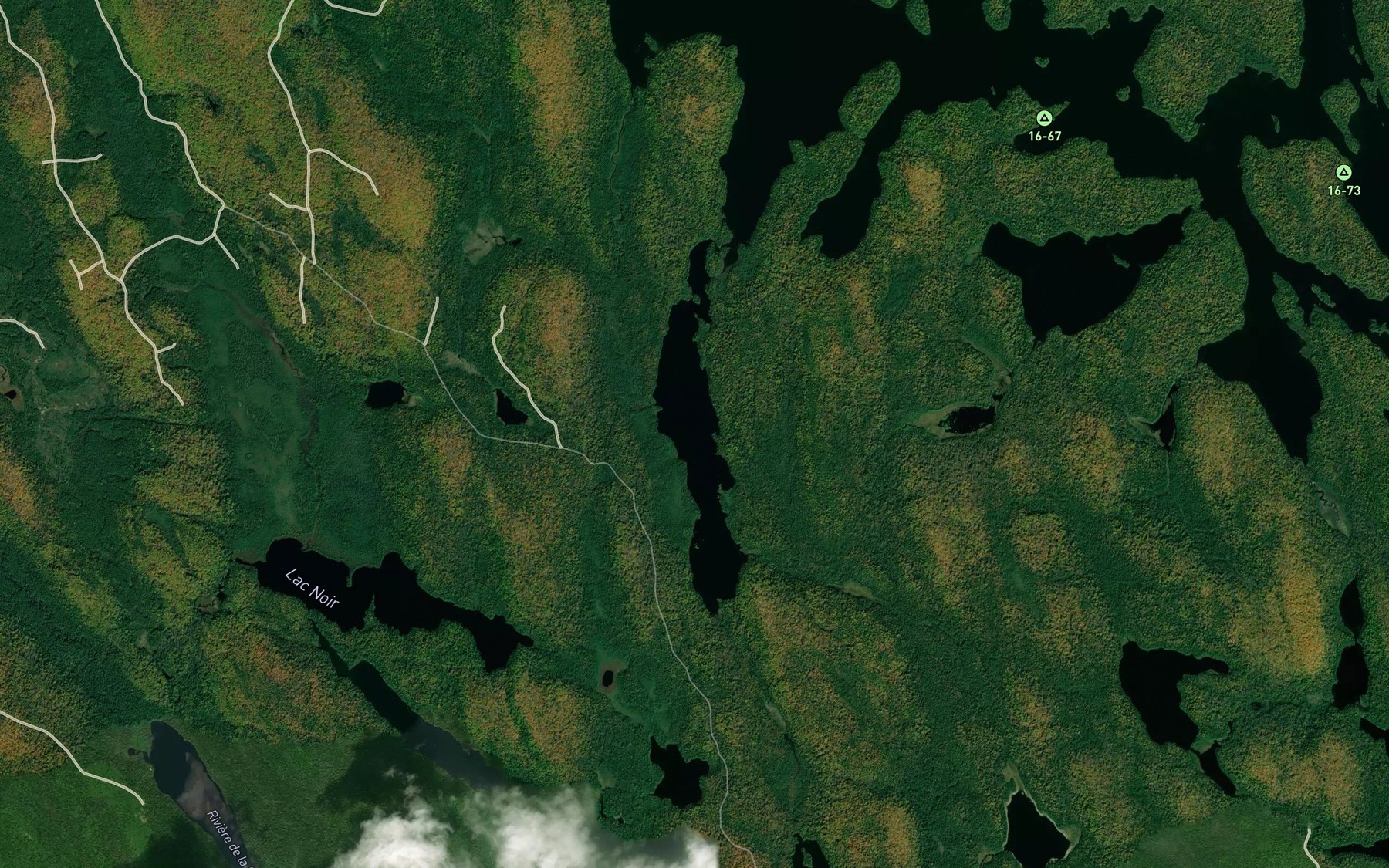 Satellite map of the Lac de la Raquette