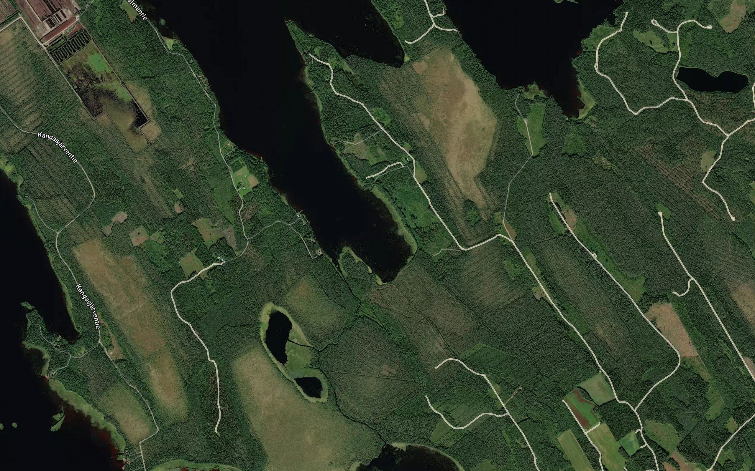 Tervalahti