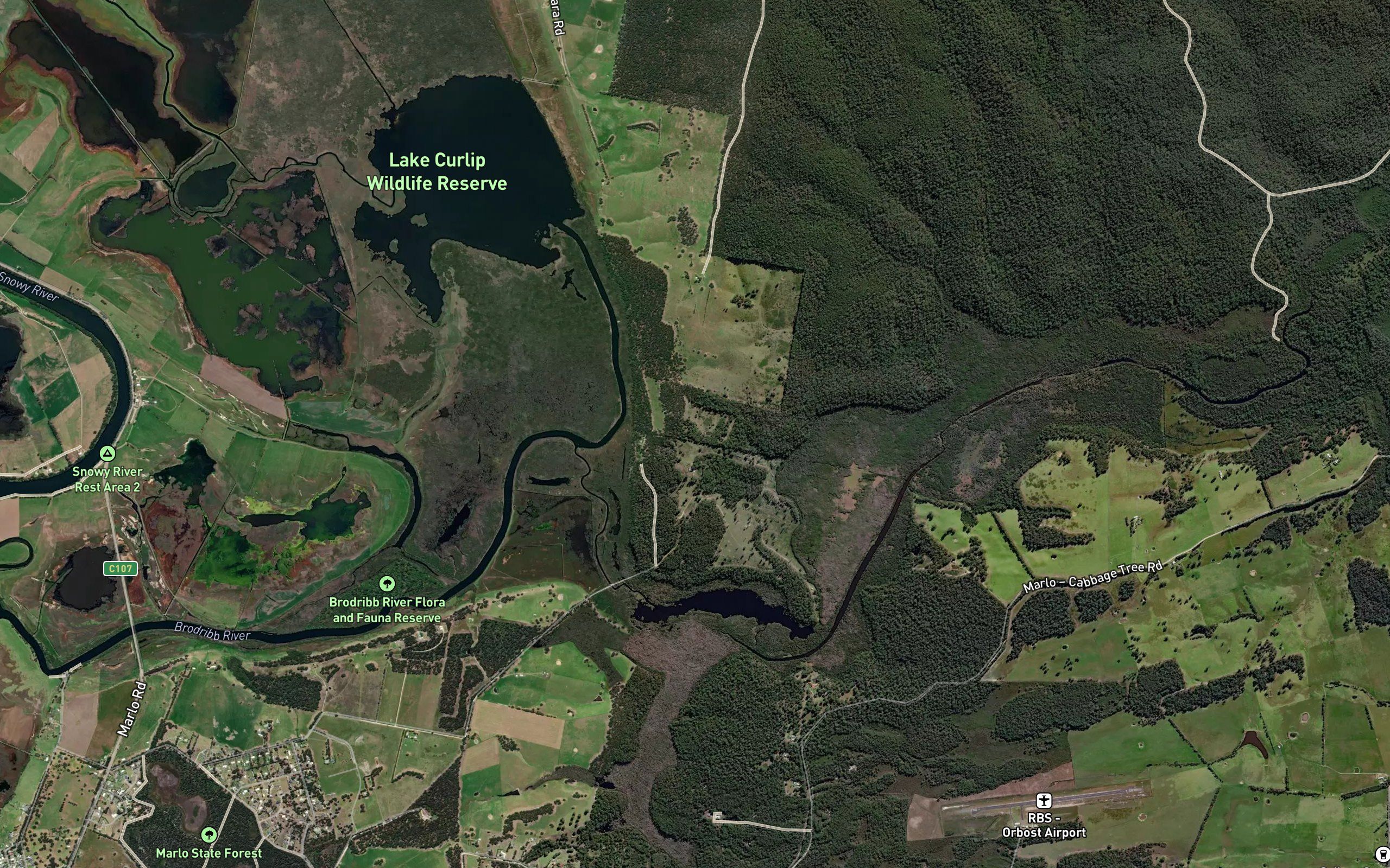 Cabbage Tree Creek