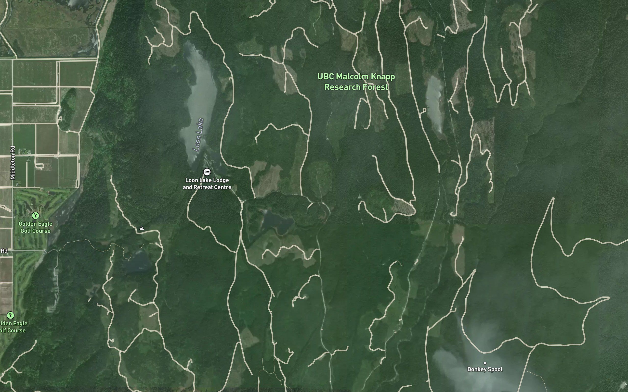 Loon Creek