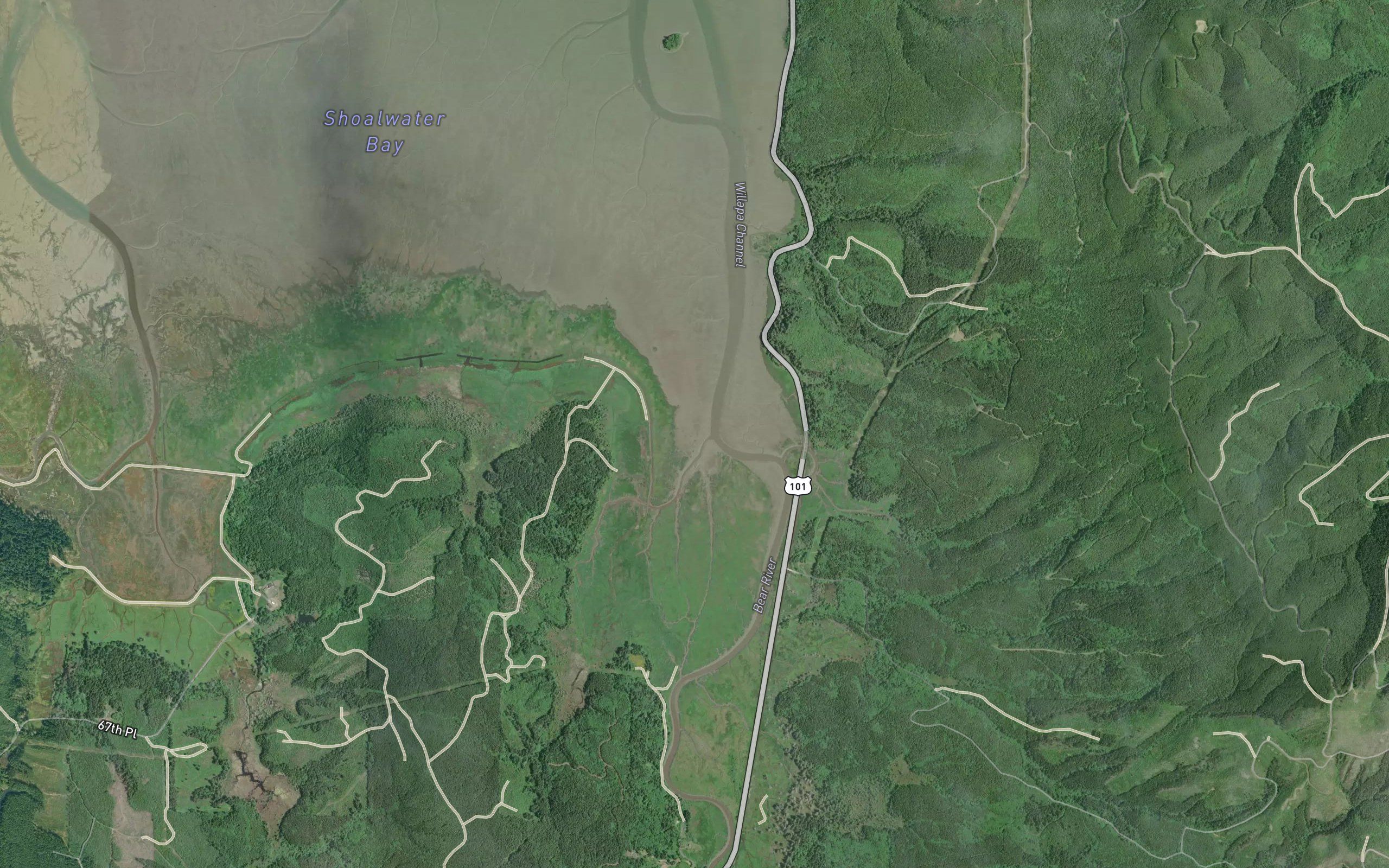 Willapa Bay