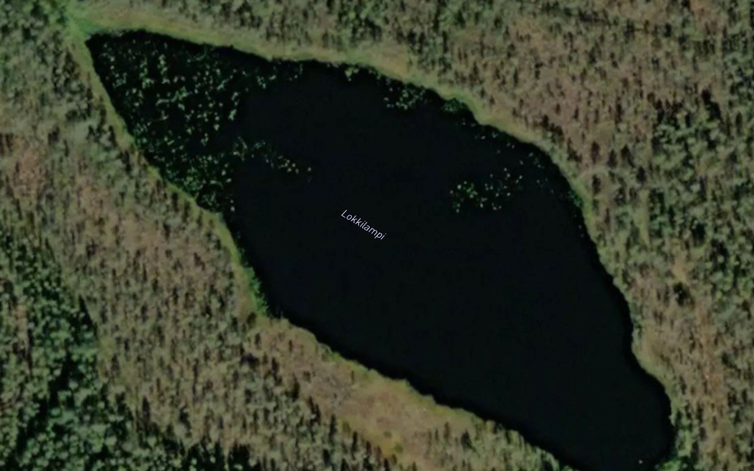 Lokkilampi