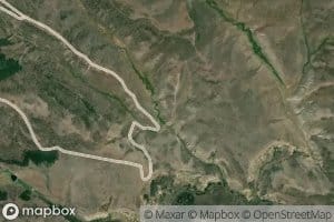 Chicken Spring
