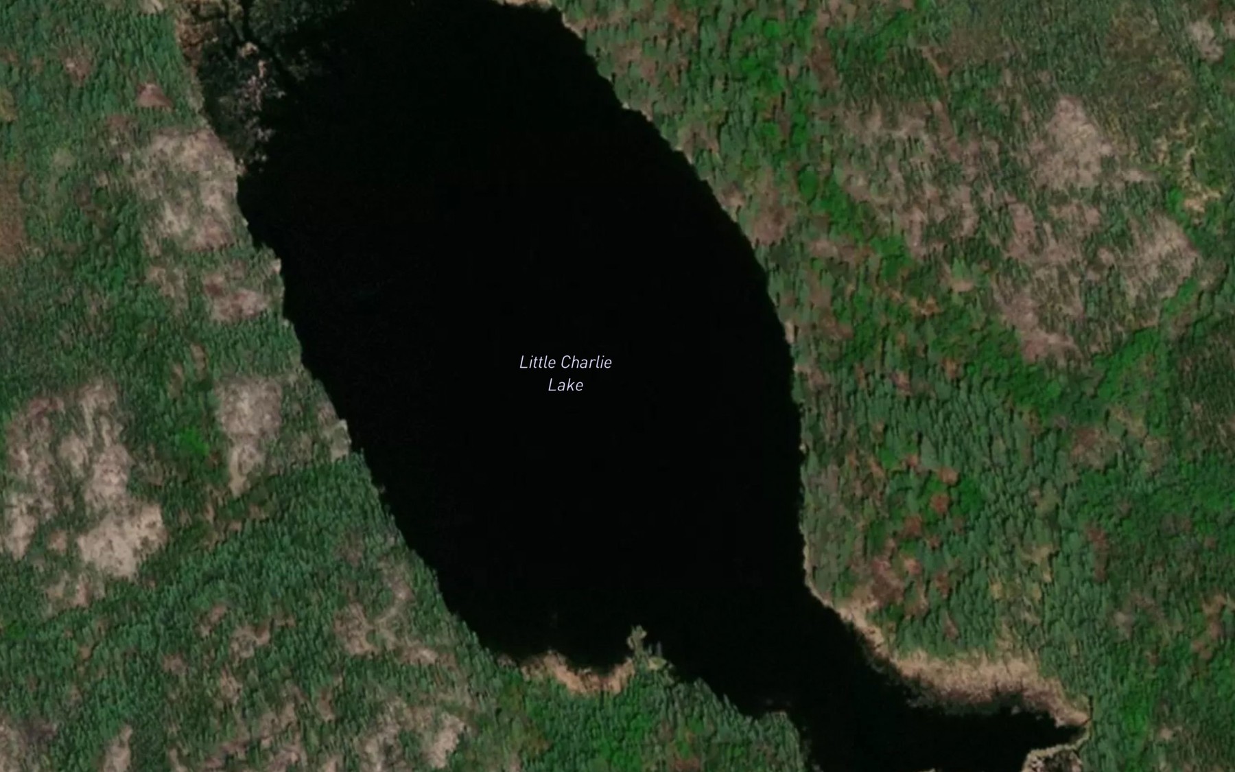 Satellite map of the Little Charlie Lake