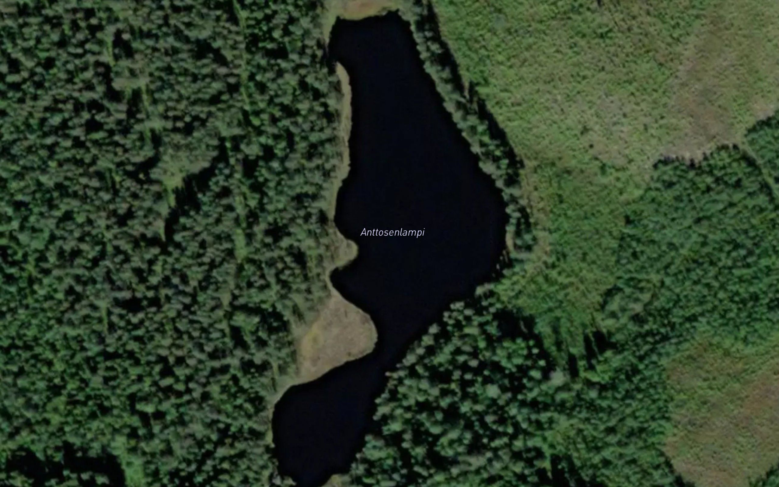 Anttosenlampi