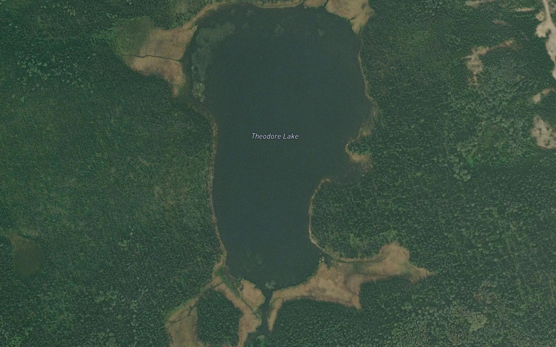 Satellite map of the Theodore Lake