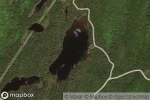 Watson's Lake