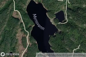 Mensvann