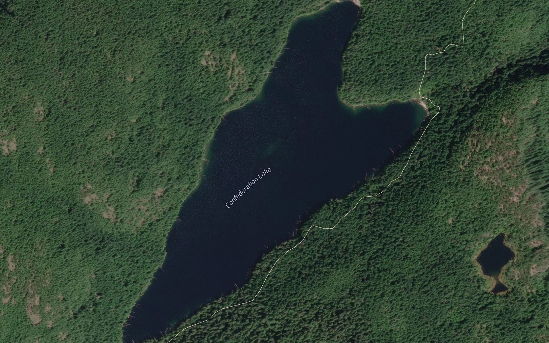 Satellite map of the Confederation Lake