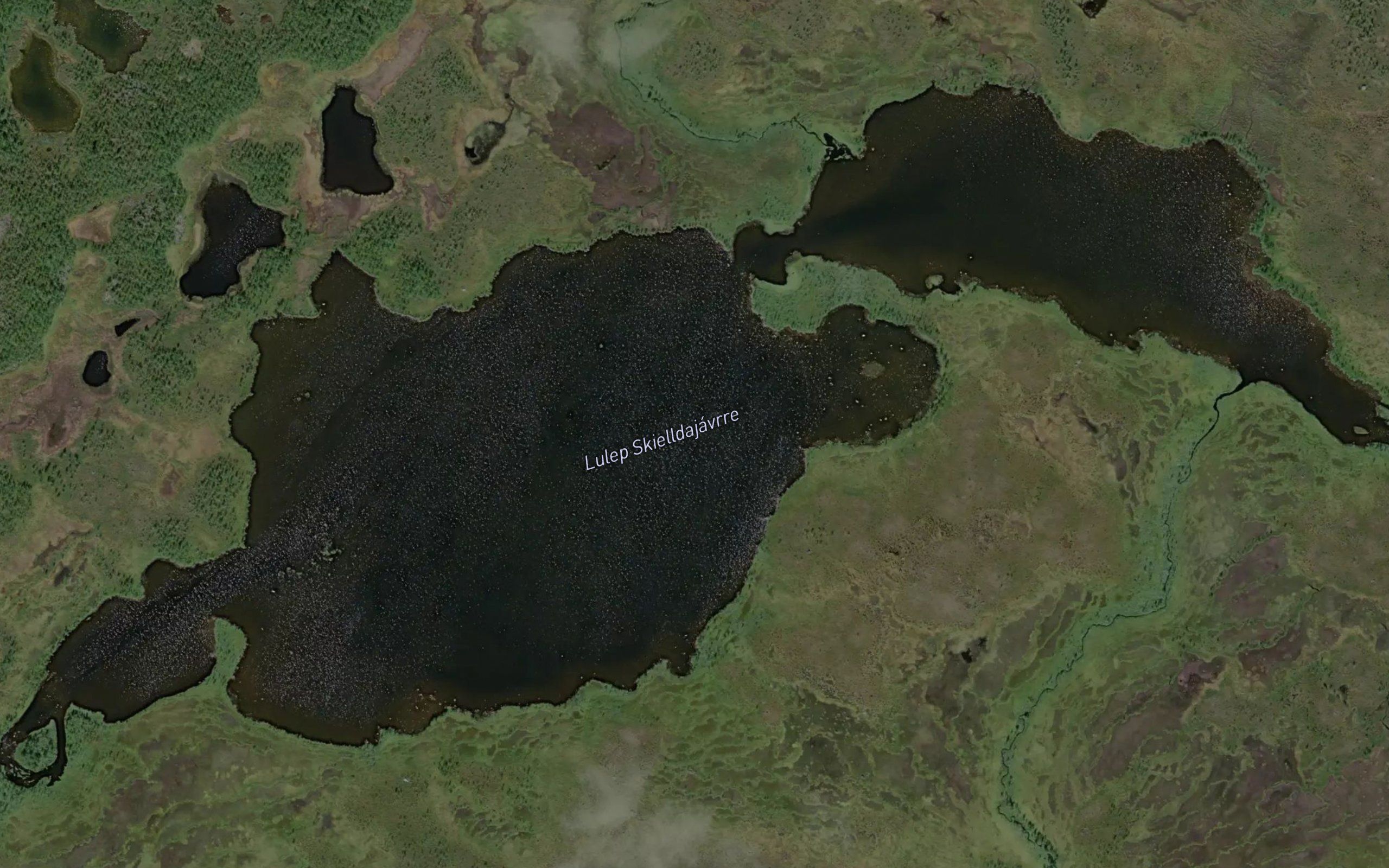 Lulep Skielldajavrre