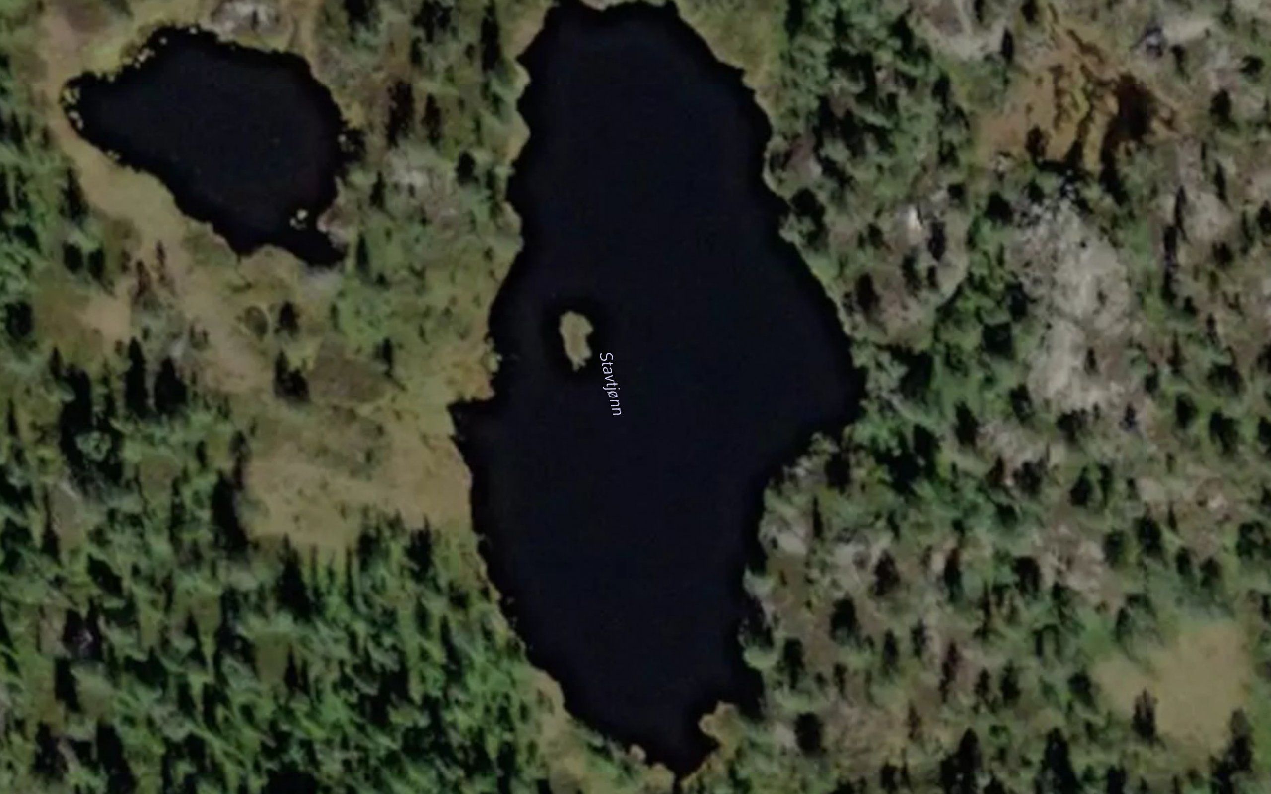 Stavtjorn