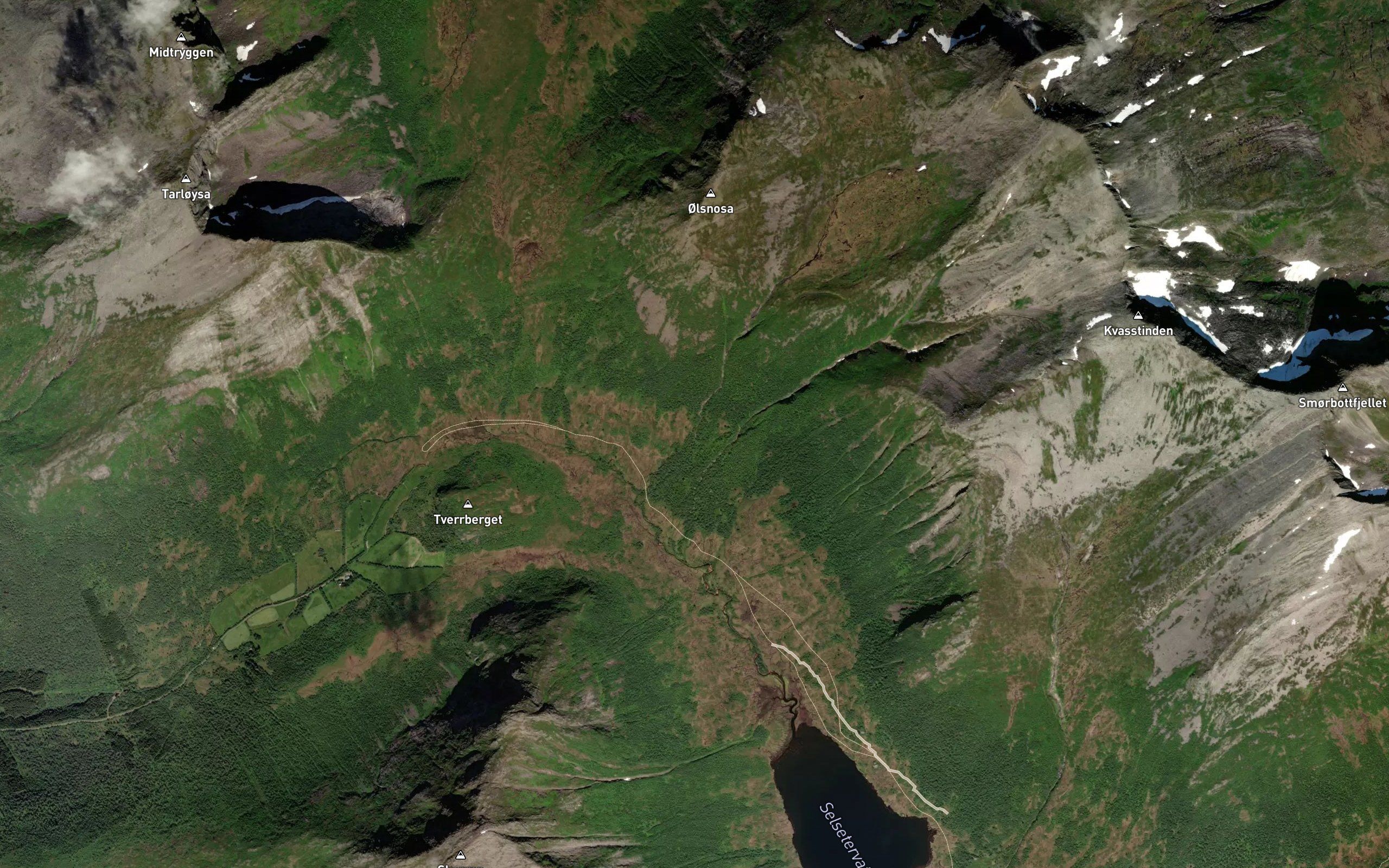 Olsnoselva