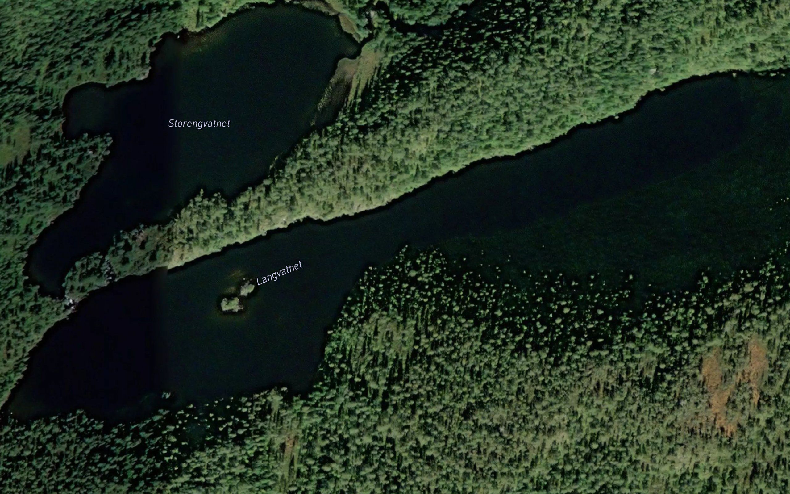 Langvatnet