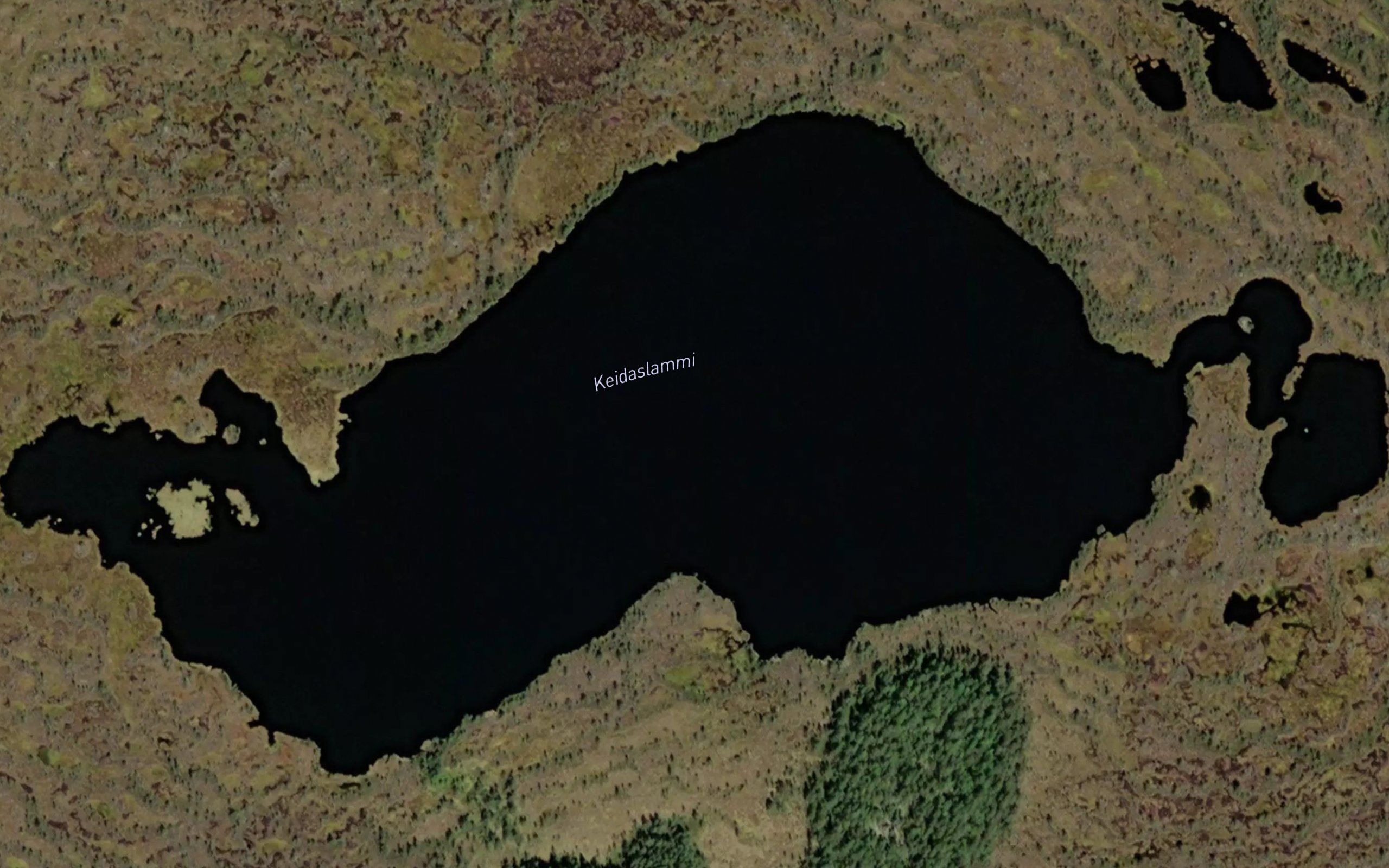 Keidaslammi