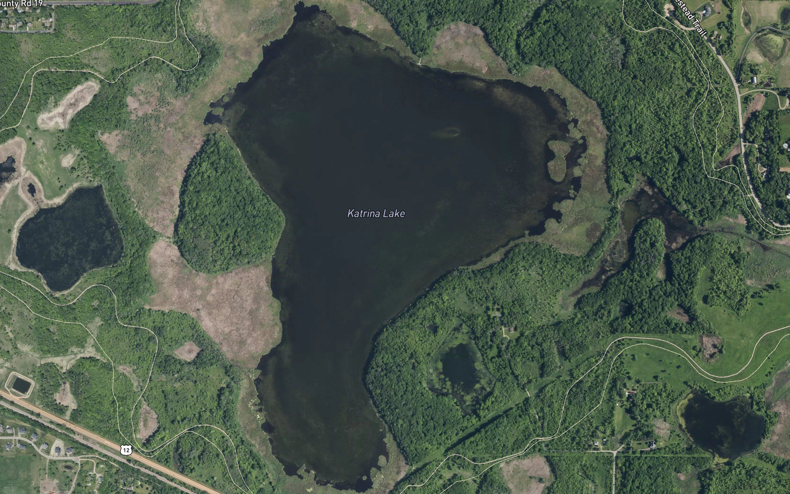 Katrina Lake