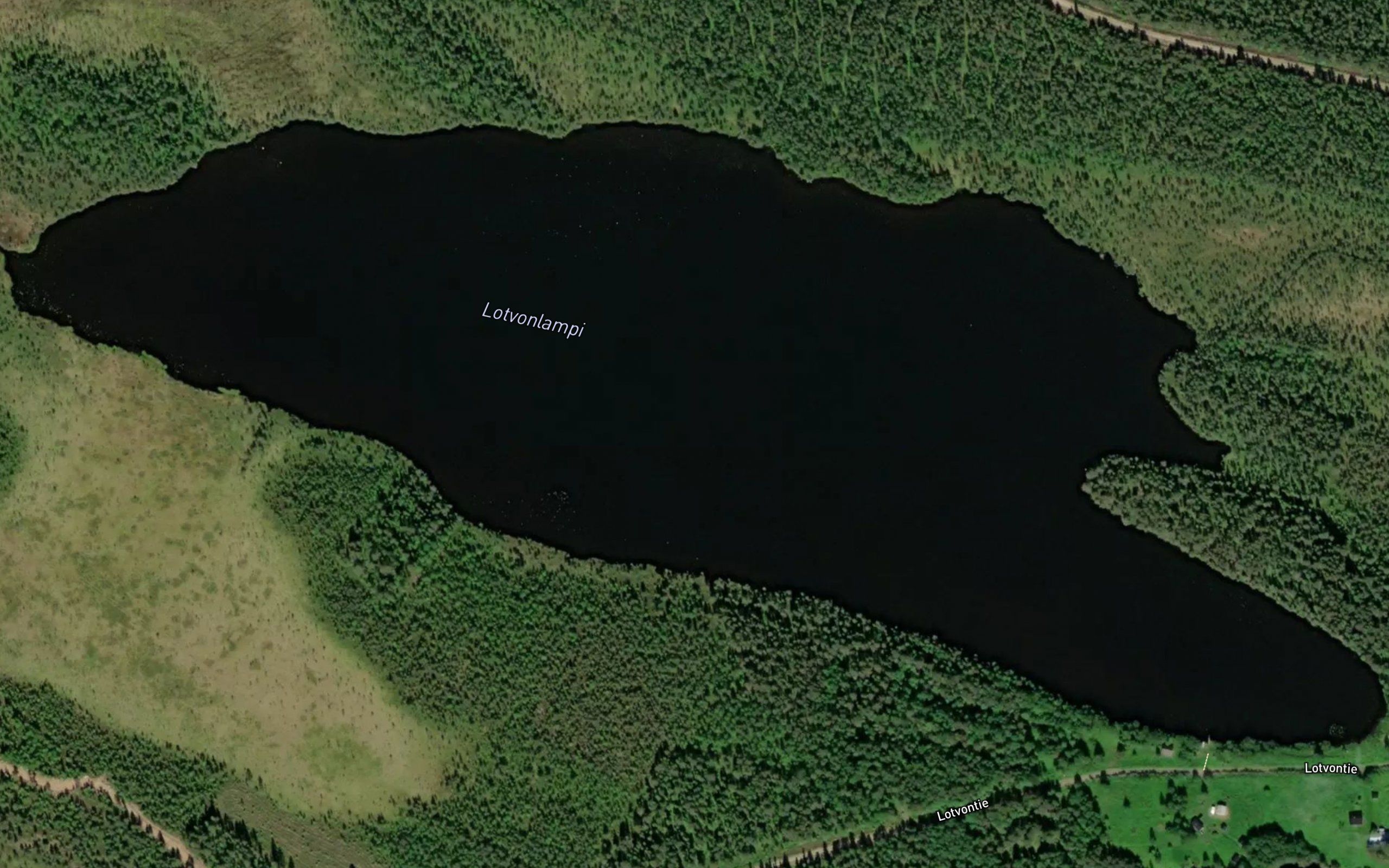 Lotvonlampi