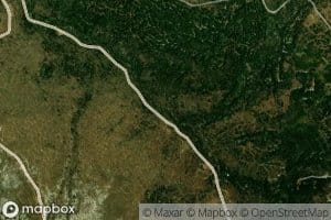 South Branch Lyman Brook