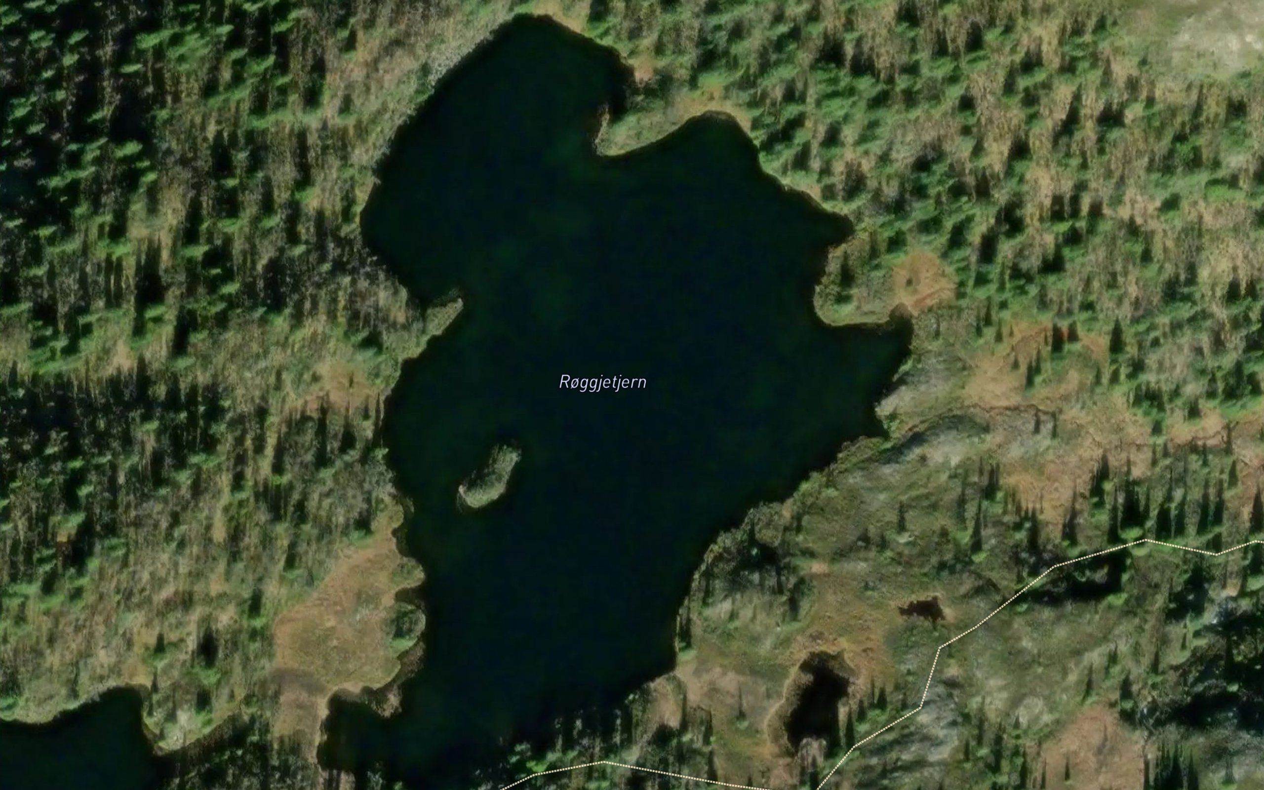 Roggetjerni