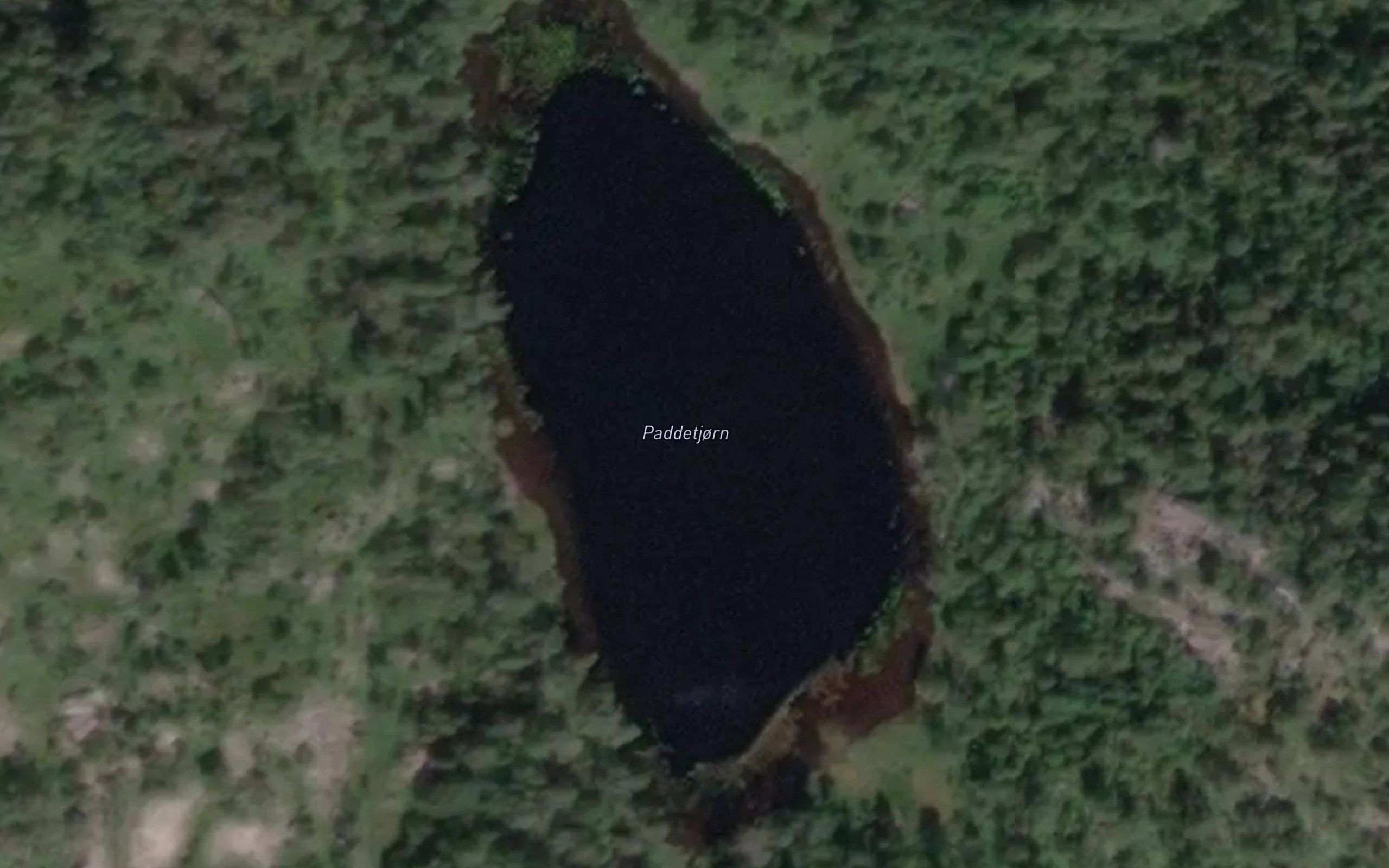 Paddetjorn