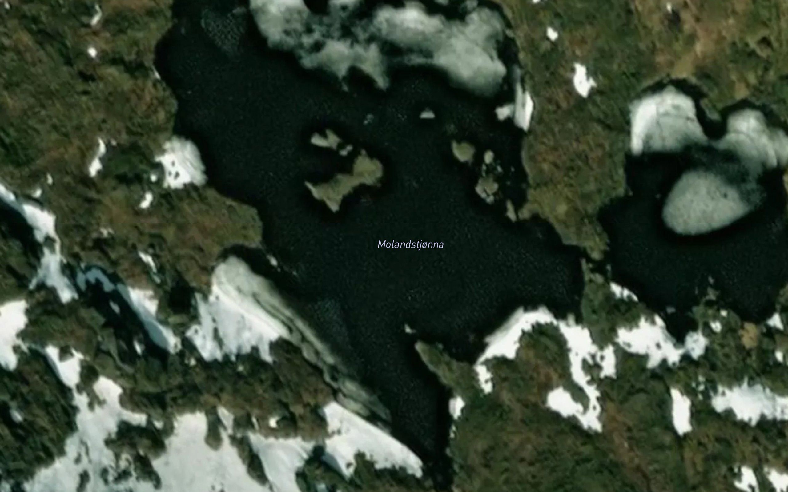 Molandstjorna