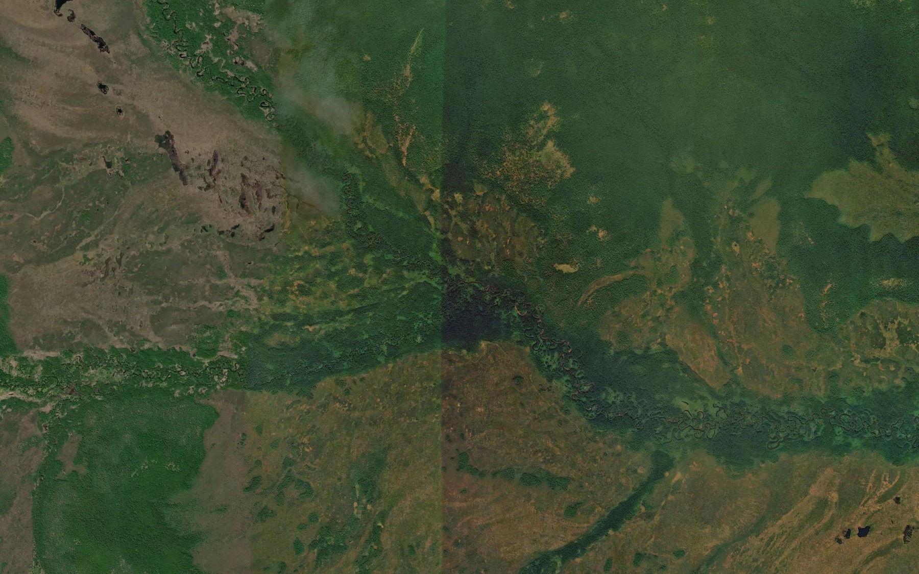 Satellite map of the Bol'shaya Nevagli