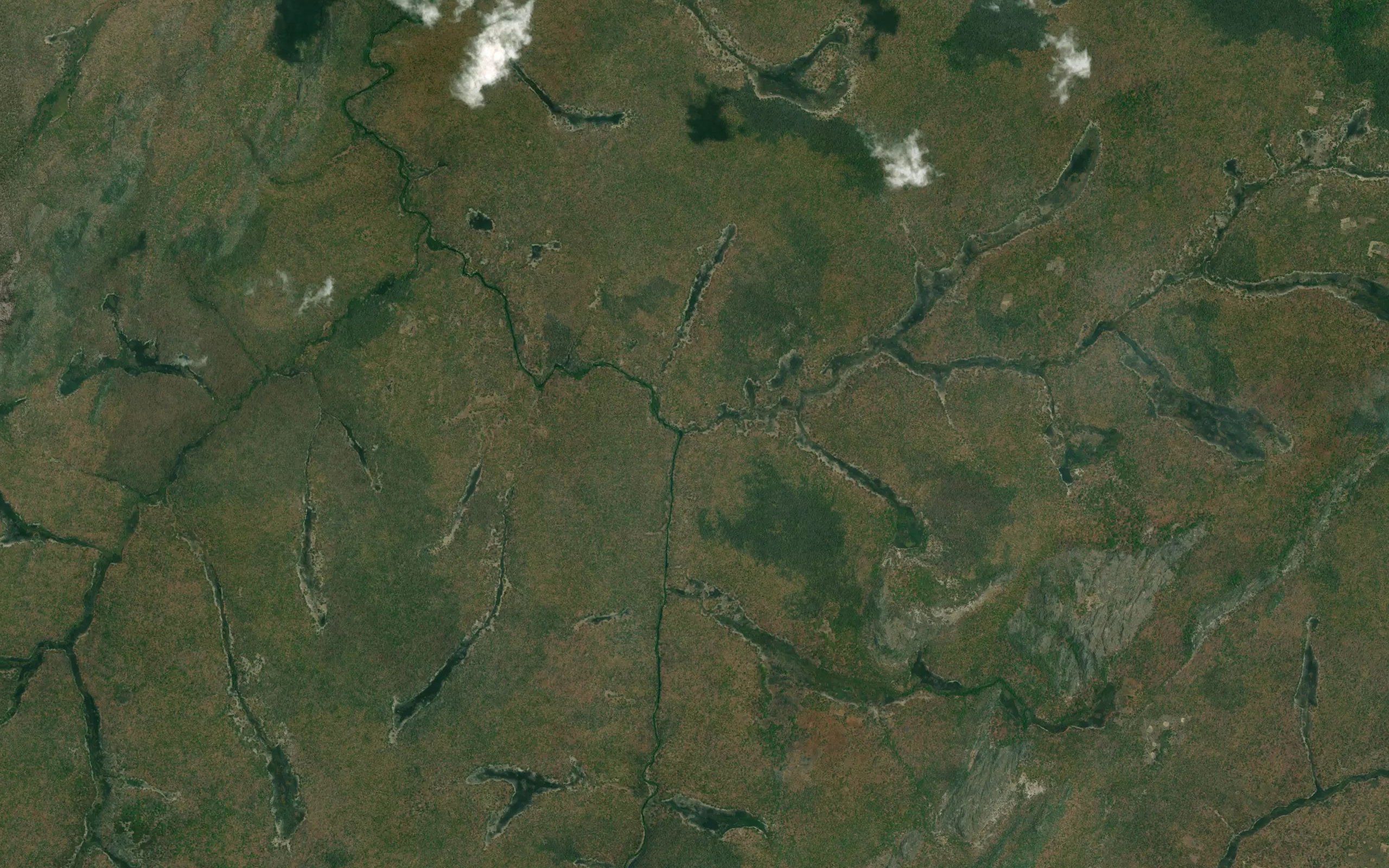 Mulewa