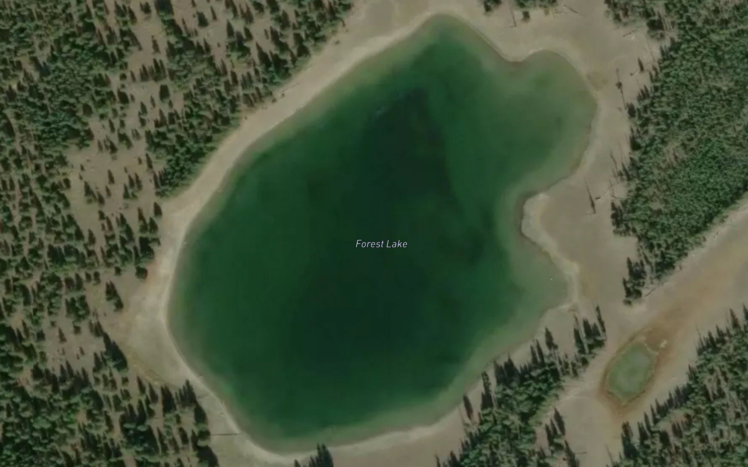 Forest Lake
