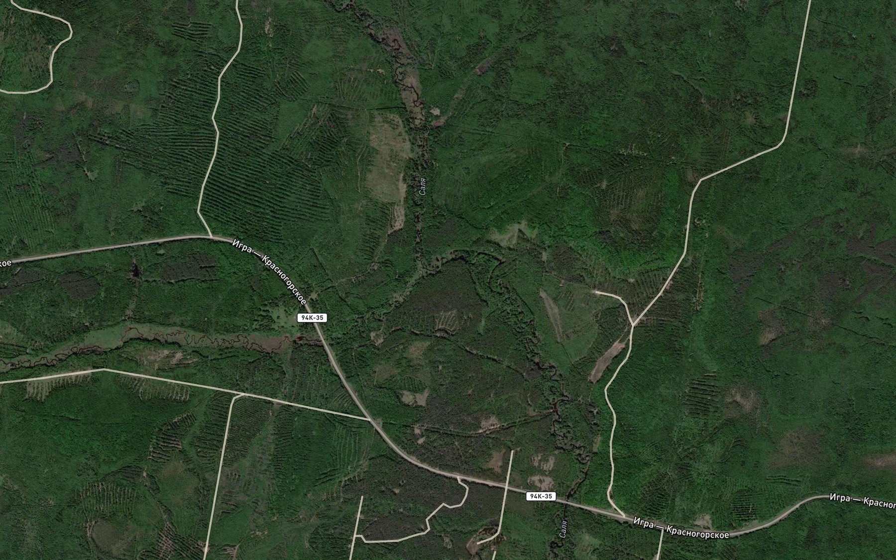 Satellite map of the Syurzya