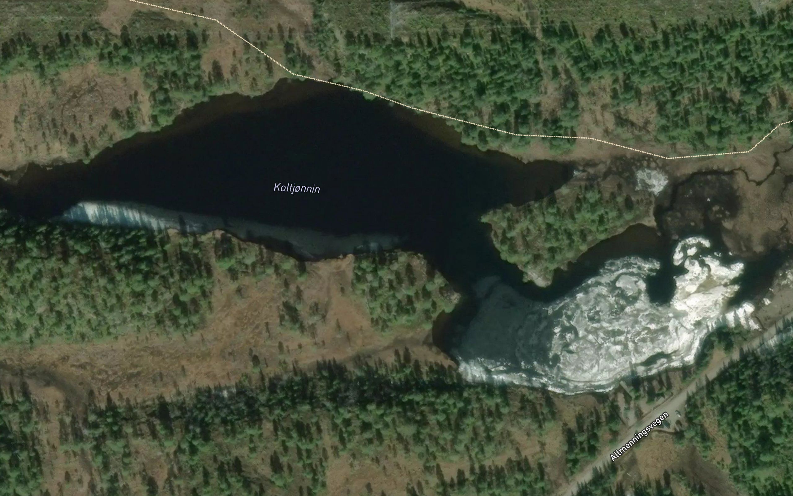 Koltjornin