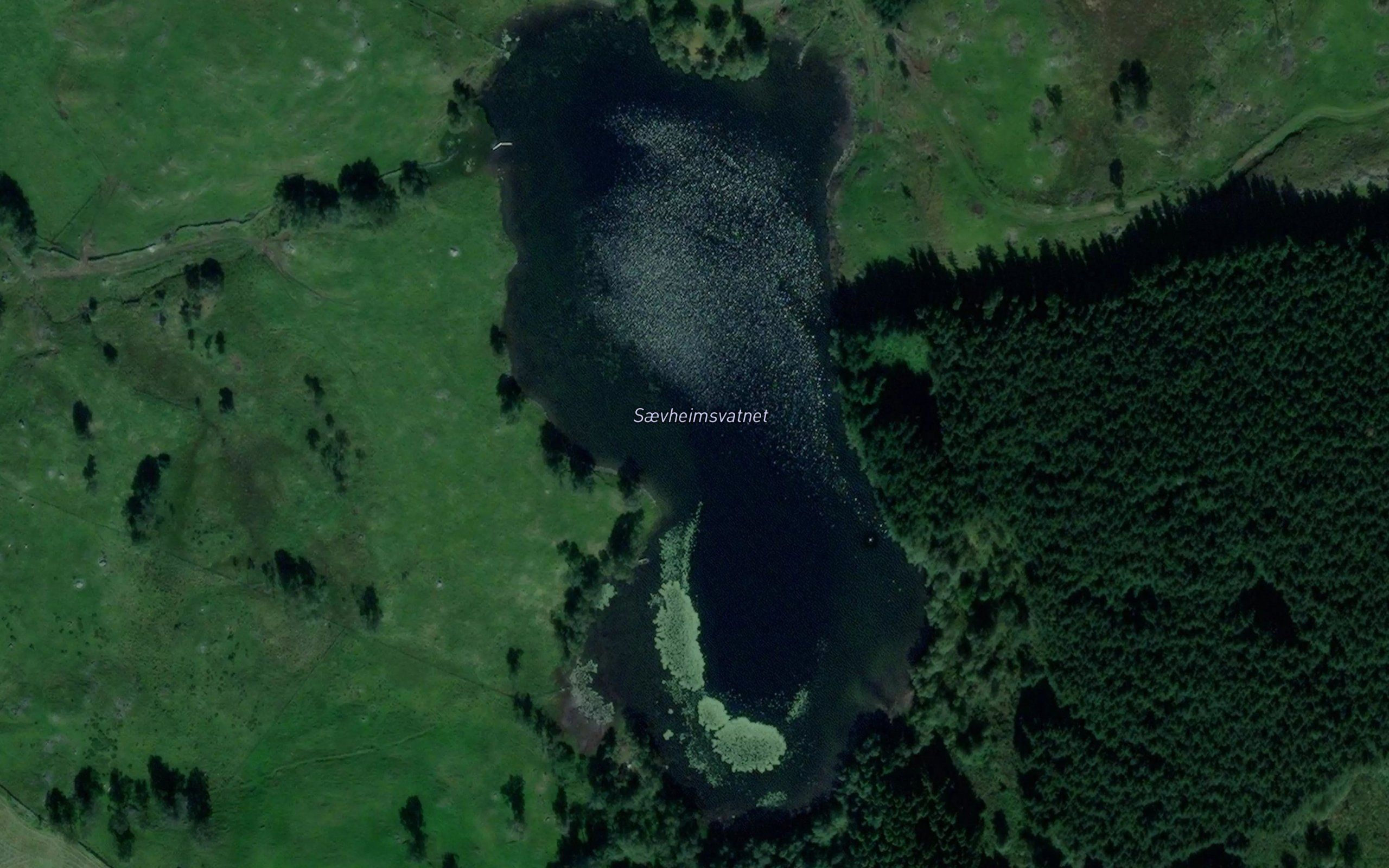 Saevheimsvatnet