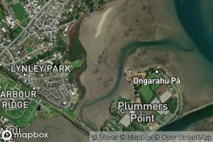 Mangawhai Bay