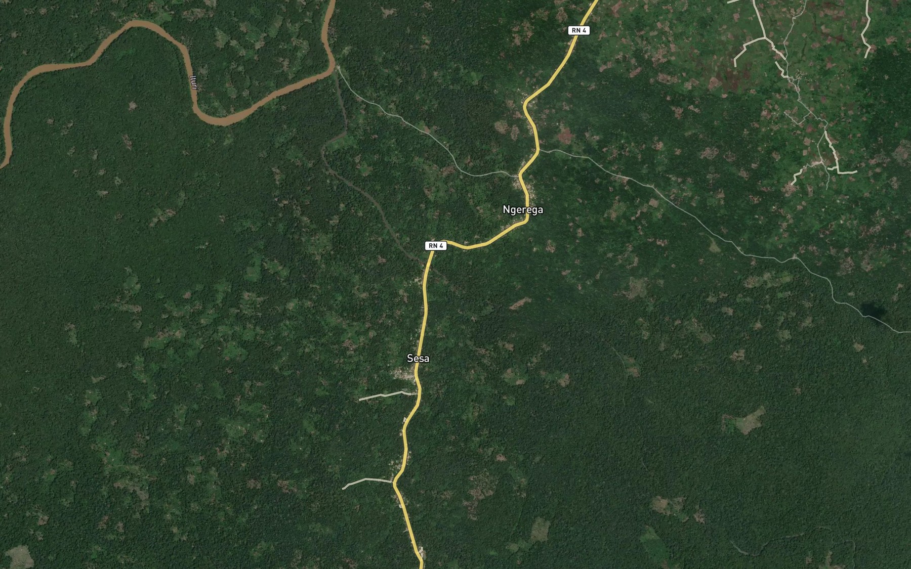 Satellite map of the Yango