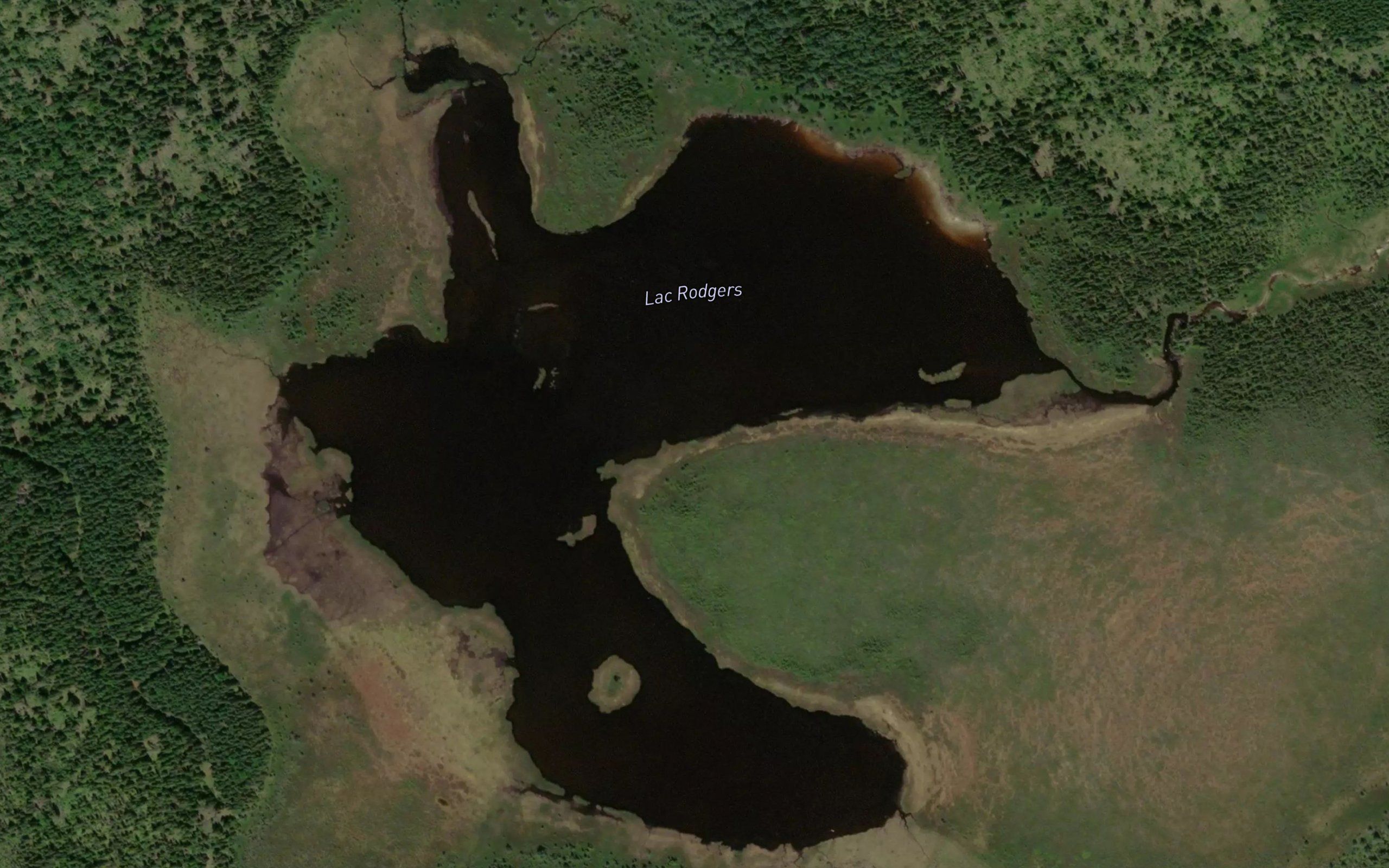 Lac Rodgers