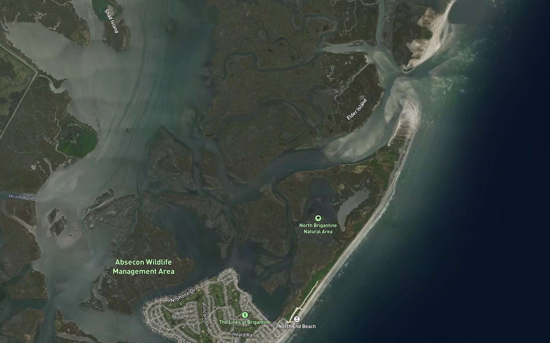 Brigantine Channel Fishing in New Jersey 2026 — Live Reports, Forecast ...