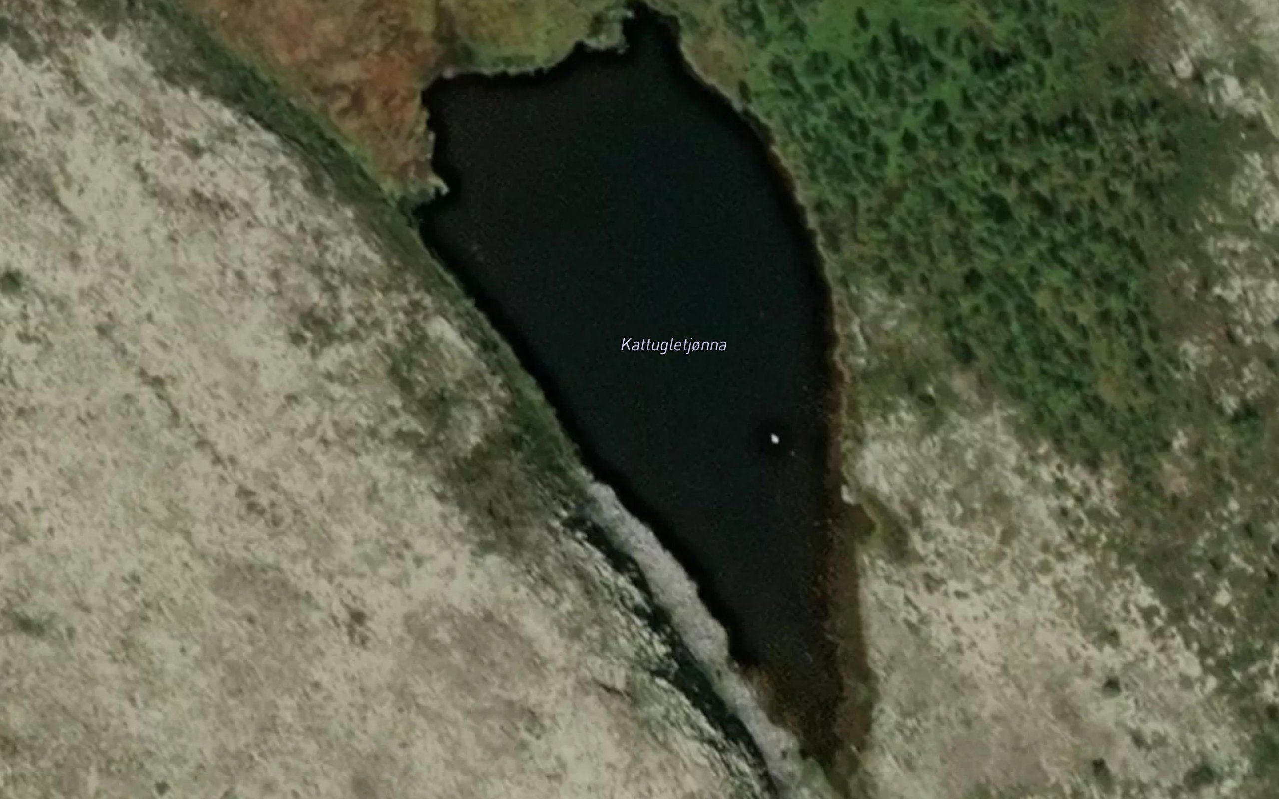 Kattugletjonna