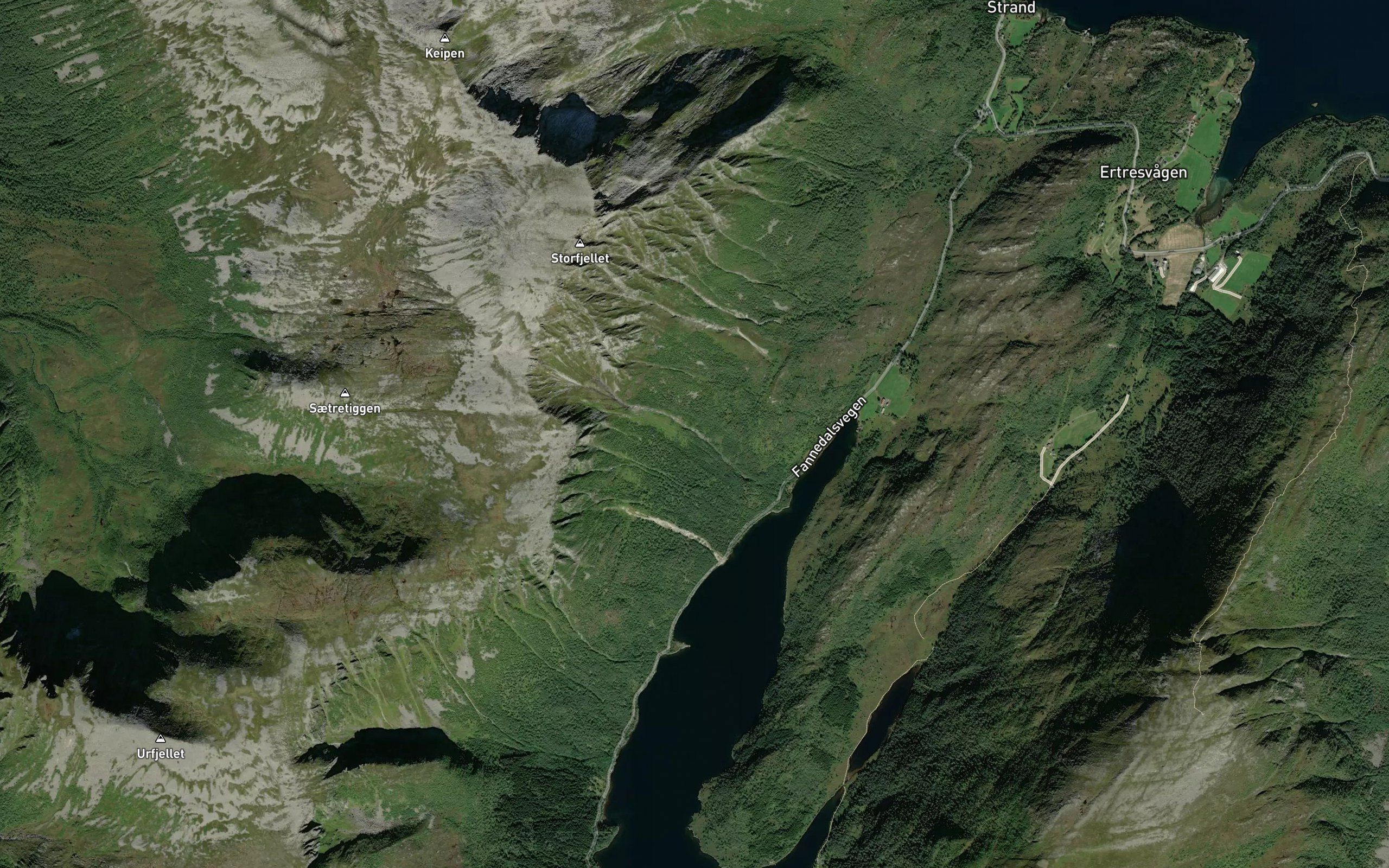 Fonnasvora
