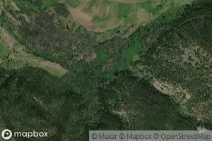 South Fork Phelan Creek