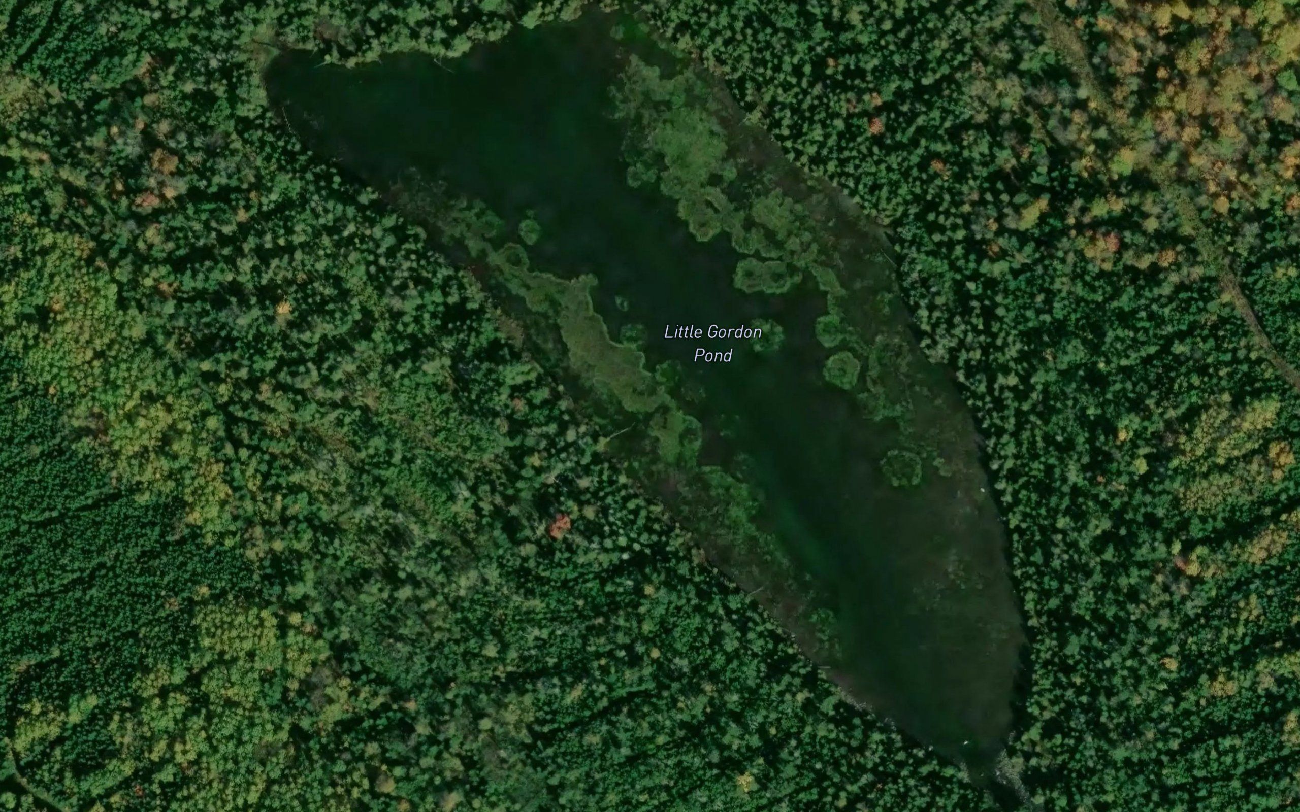 Little Gordon Pond