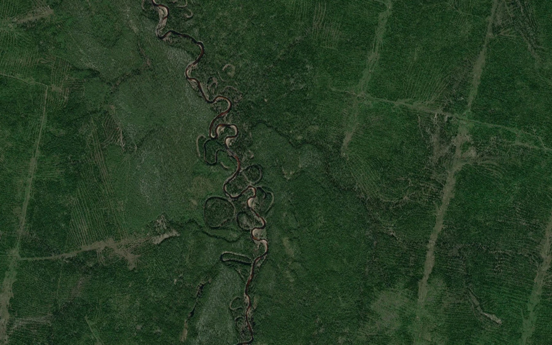 Satellite map of the Grishkerkael'