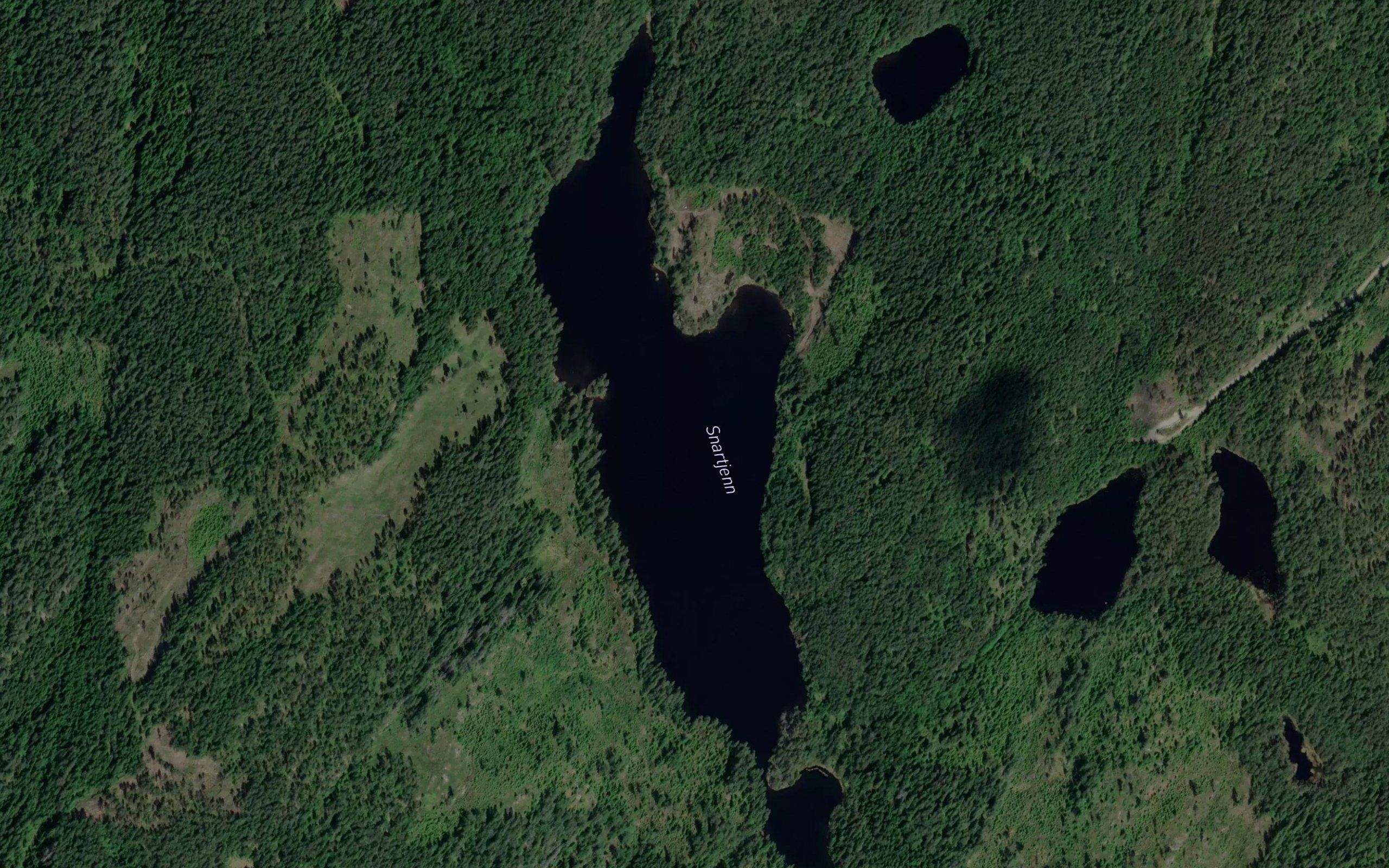 Snartjern