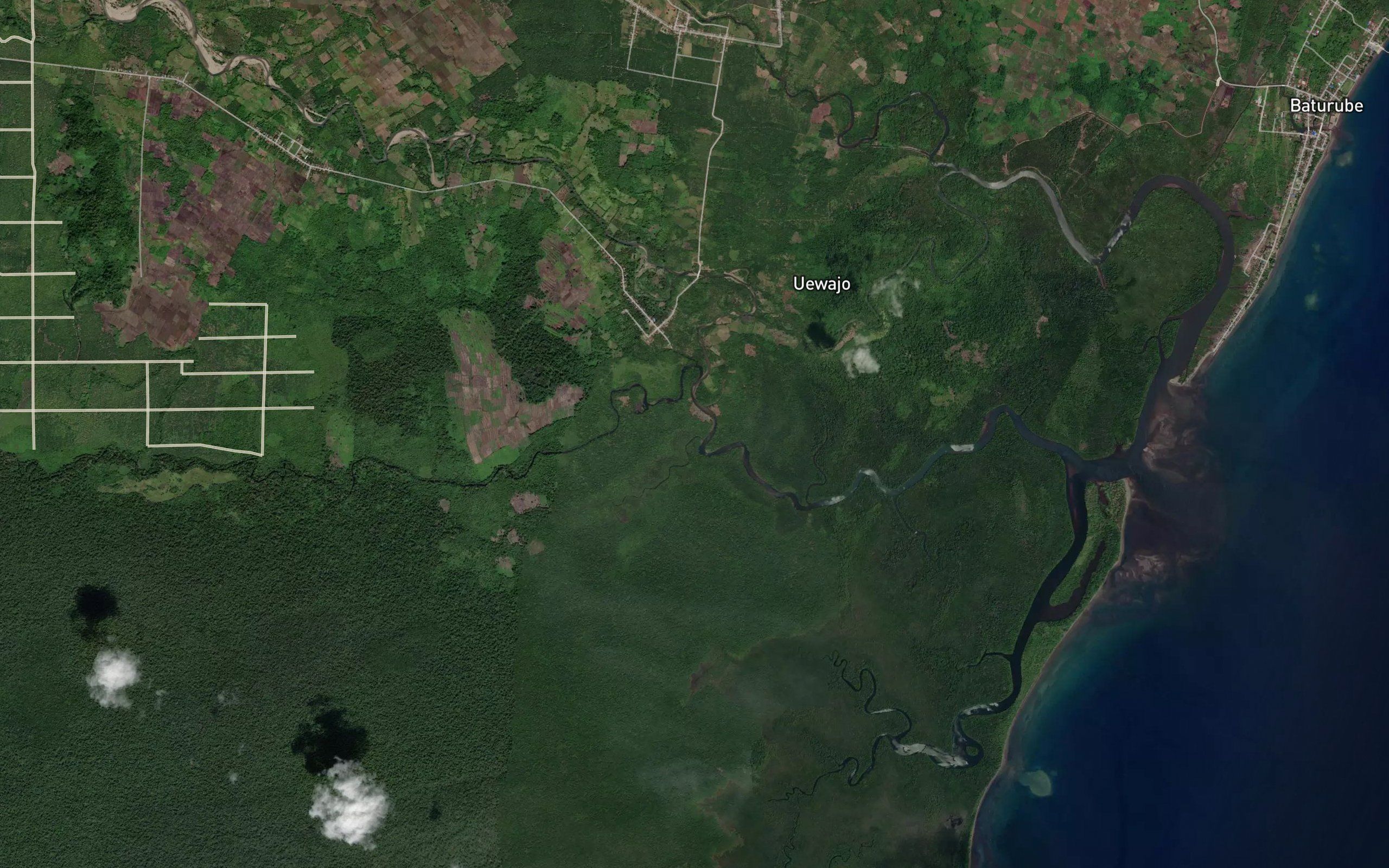Koro Tasikodi