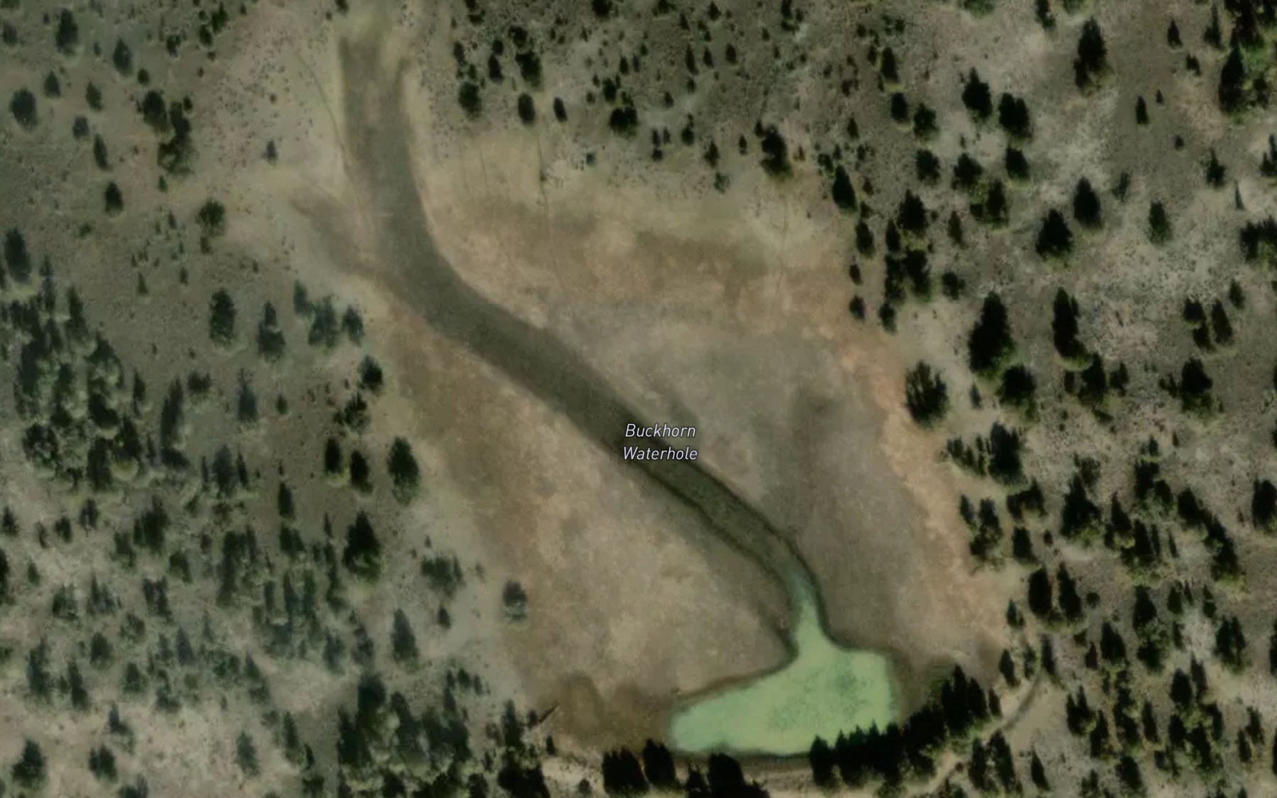 Satellite map of the Buckhorn Waterhole