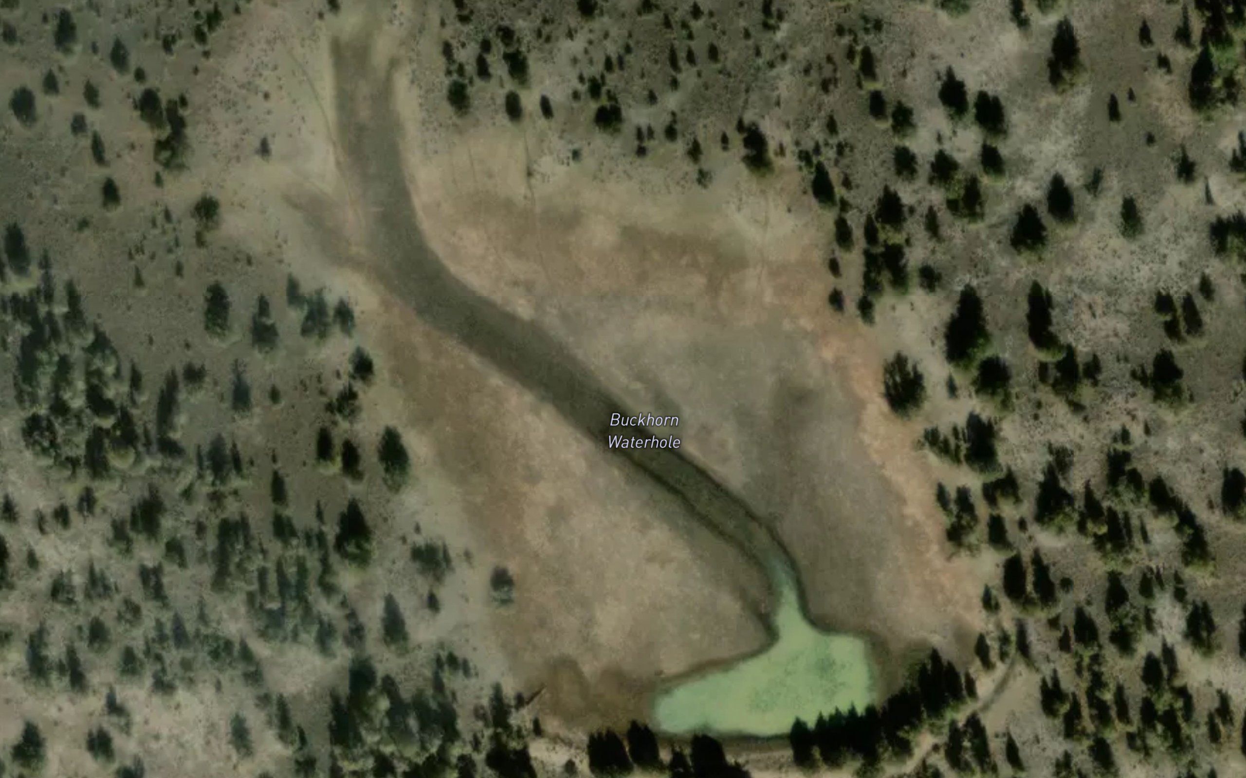 Buckhorn Waterhole