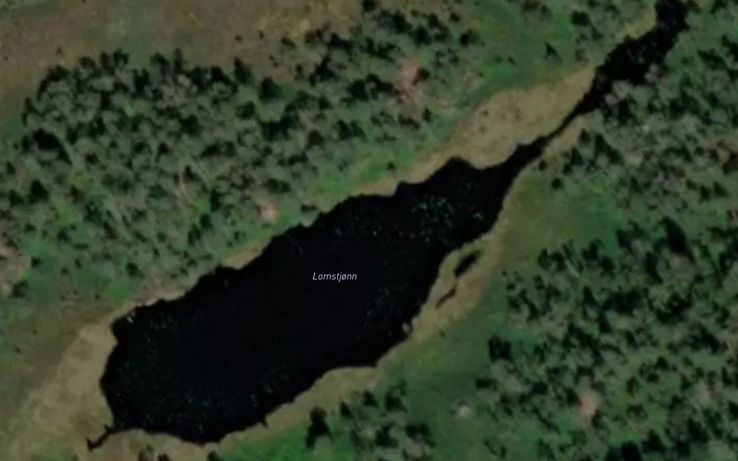 Lomstjonn